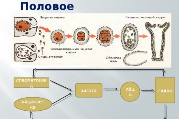 Ссылка омг в тор