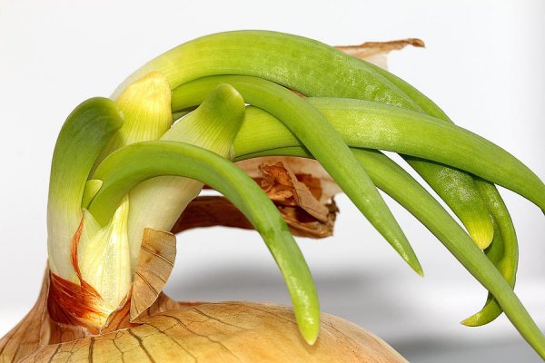 Не работает omg omg onion